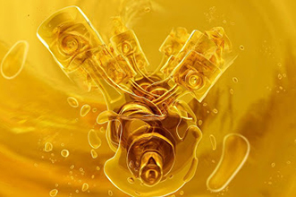 compressoroil